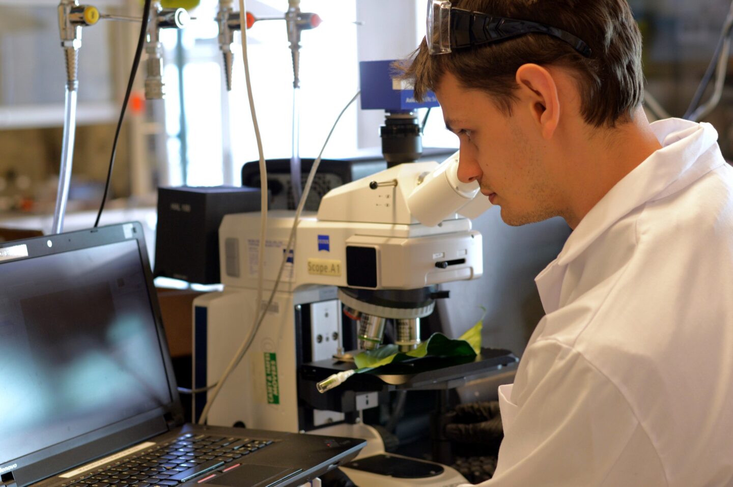 Володимир Коман