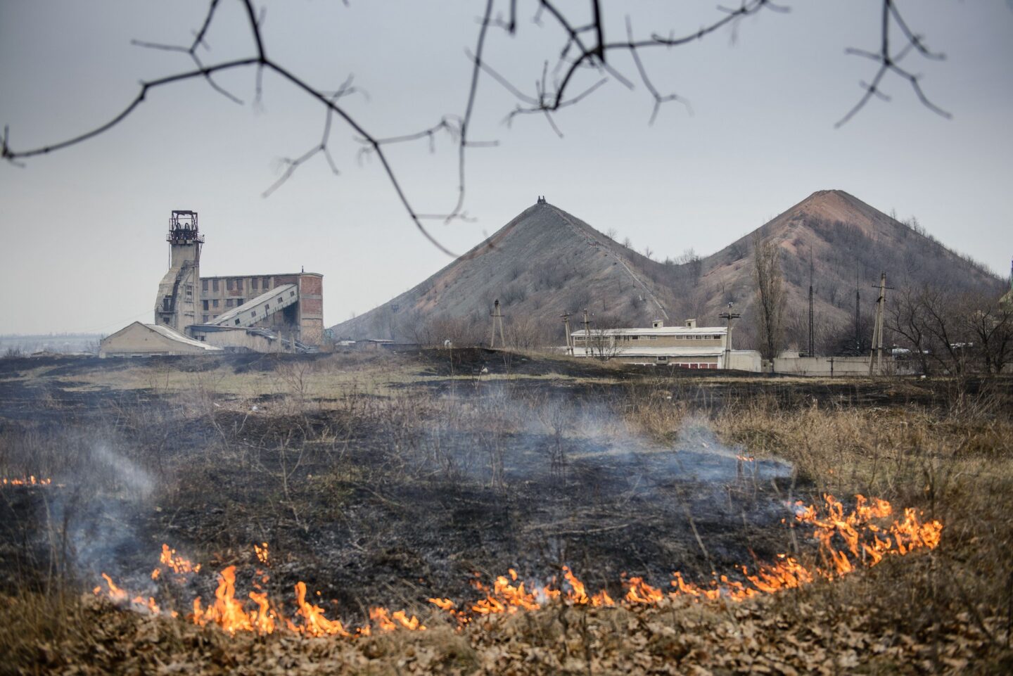 Вугільне серце
