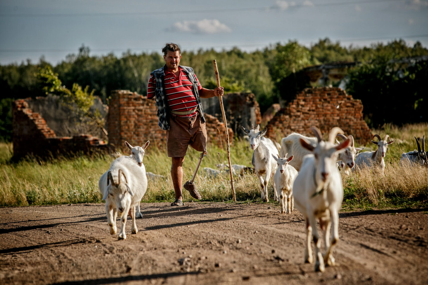 One’s Own Shepherd