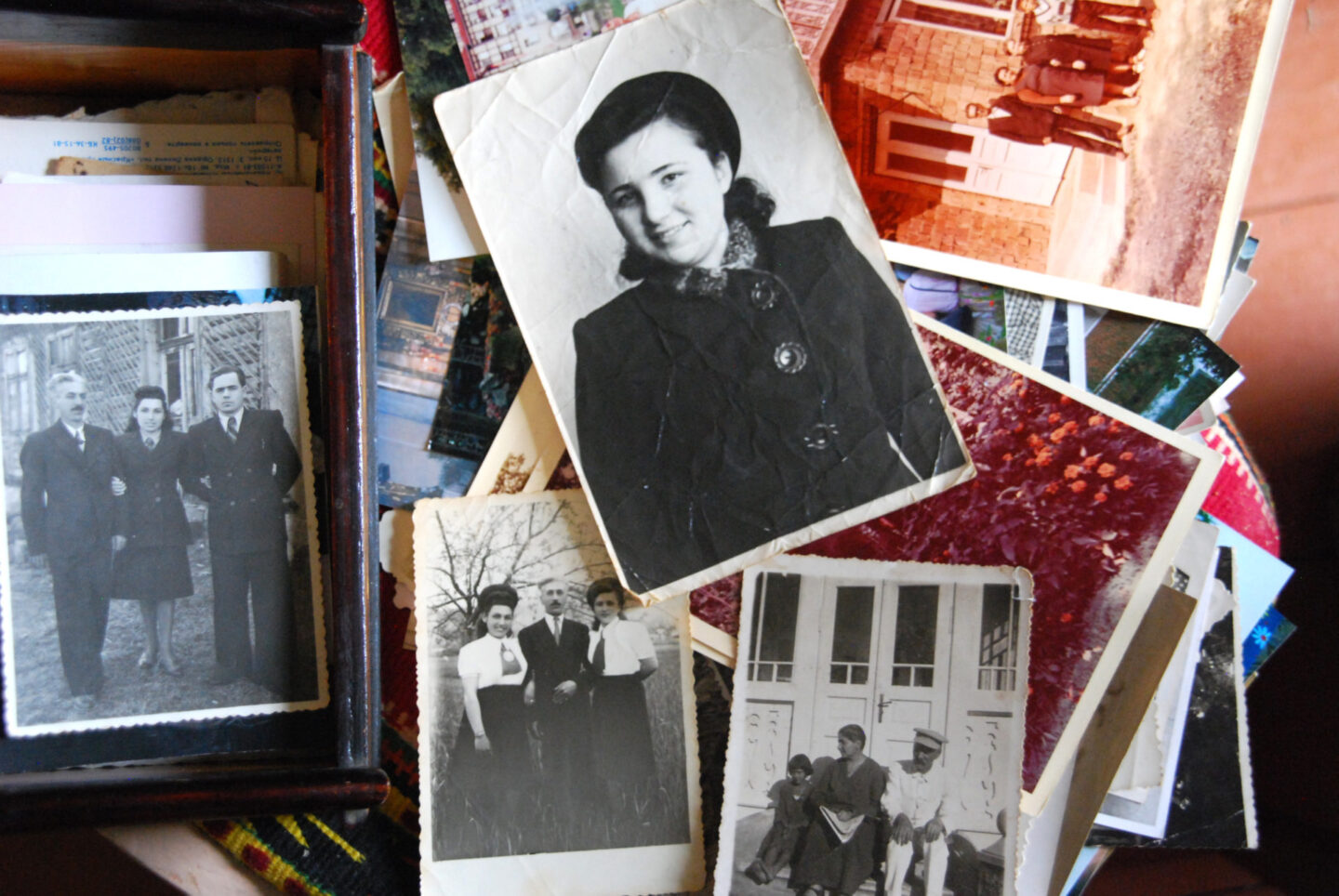 Самотність серед горіхів