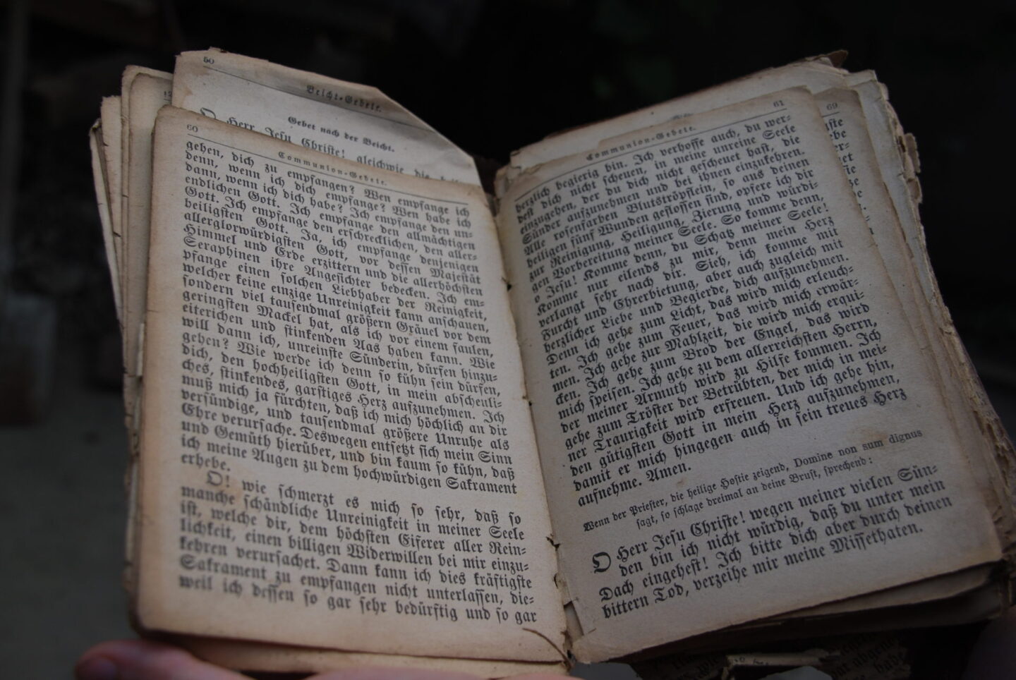 Доля гульдена