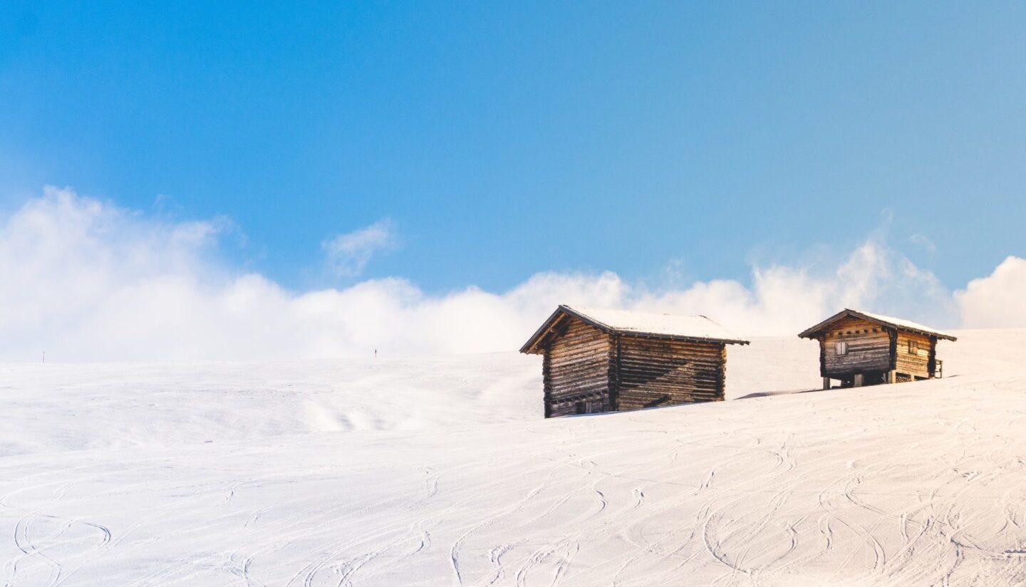 Перше Різдво на віллі «СОВА»