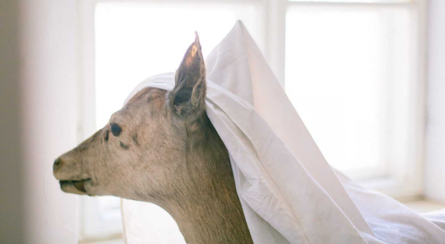 Природа музею