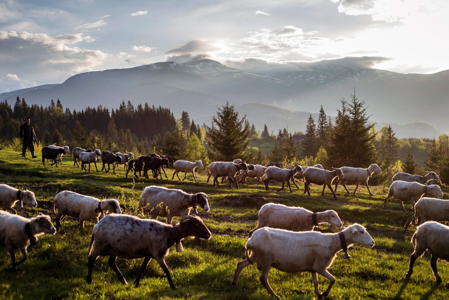 Усе так, як діди робили