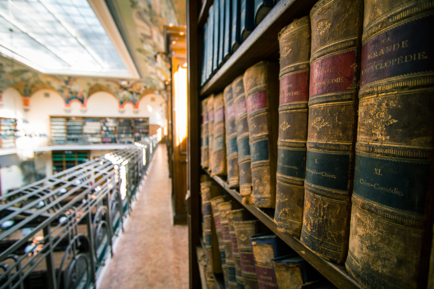 Бібліотеки Львова