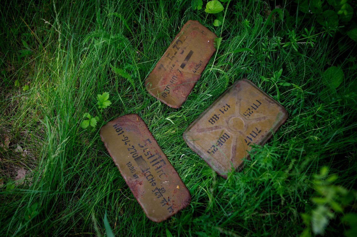 Проти природи