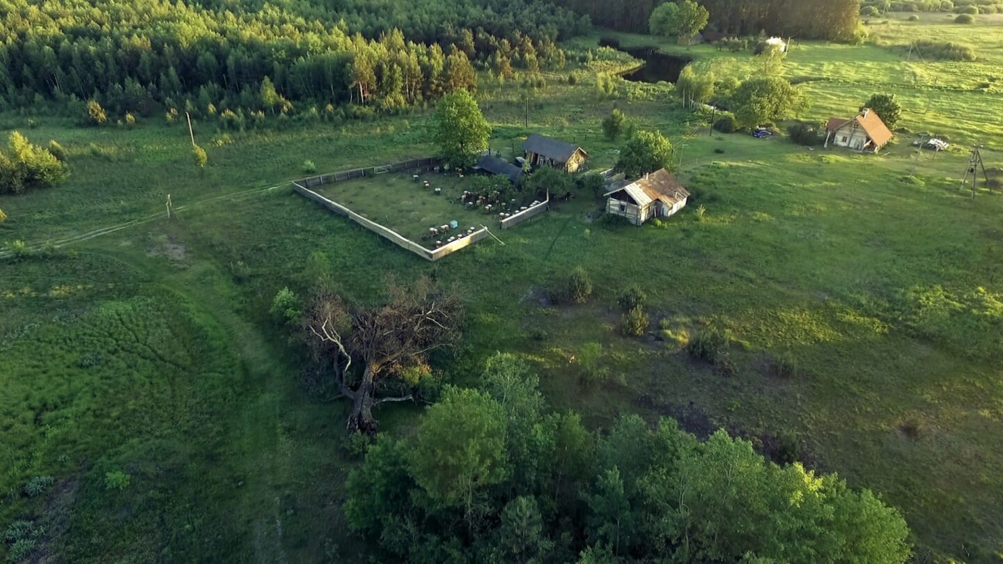 Сковородинці