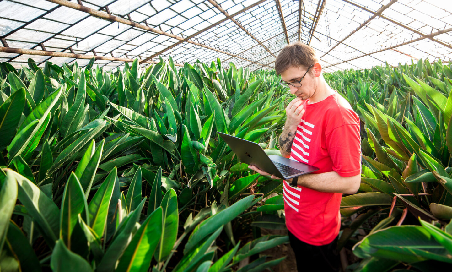 Інфікований ІТ