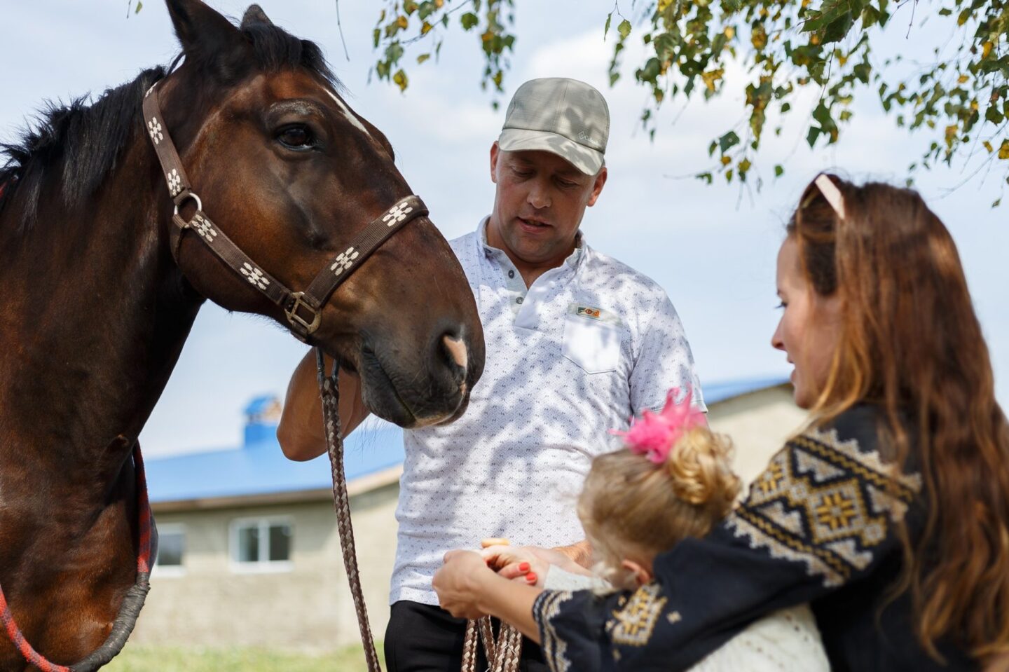 Верхи до мрії