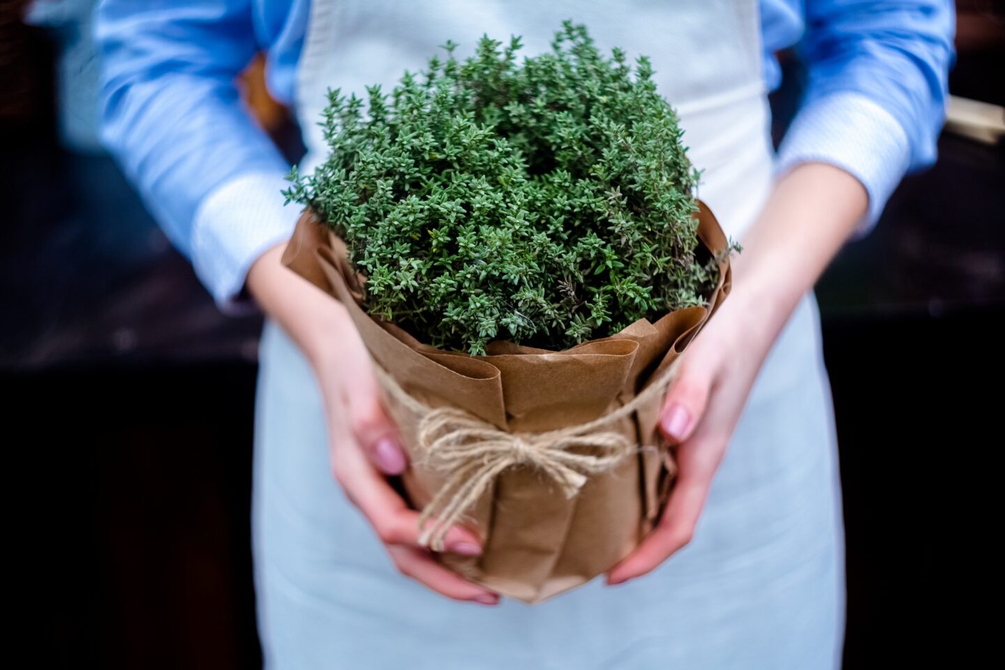 Прянощі життя