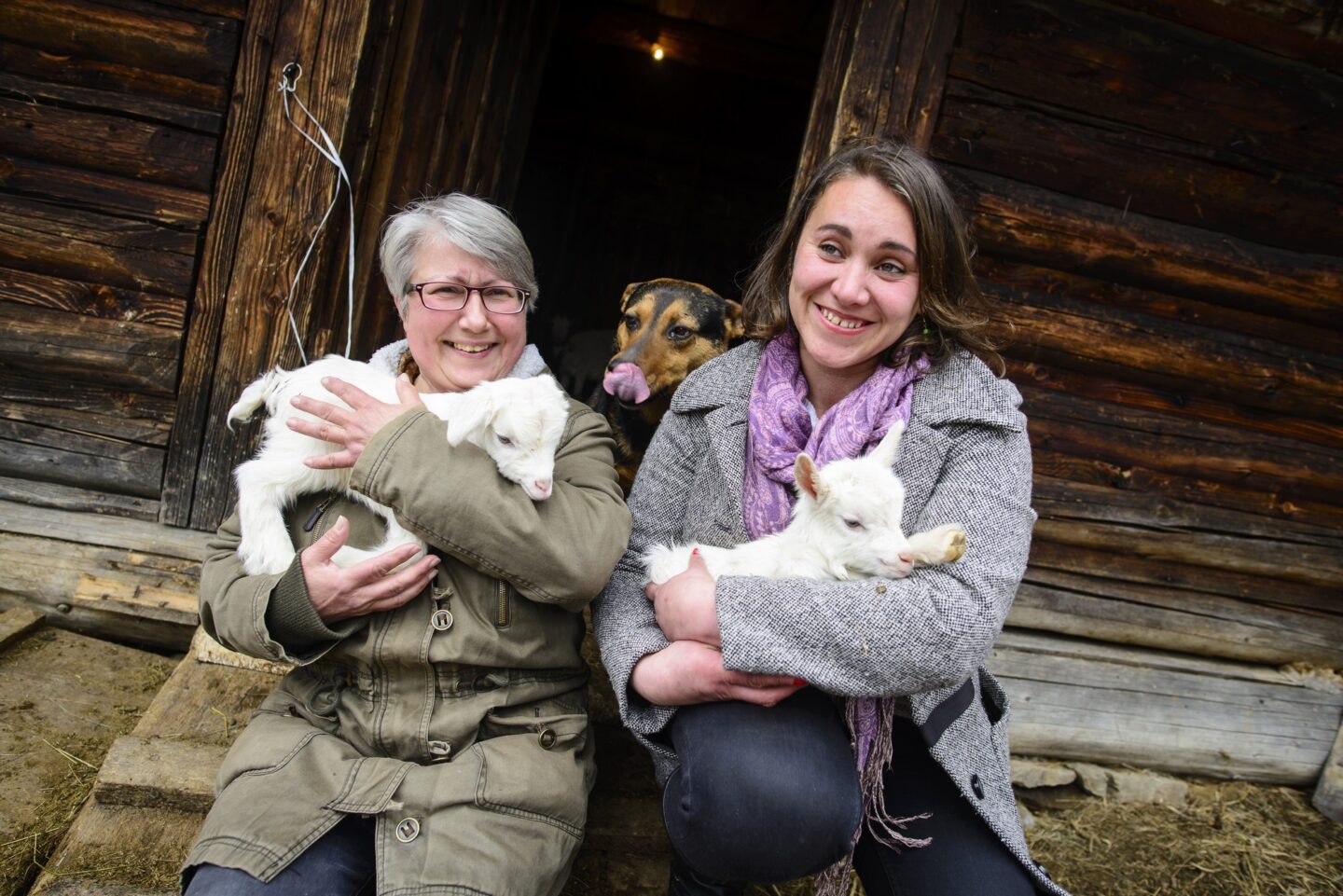 Дві Катерини