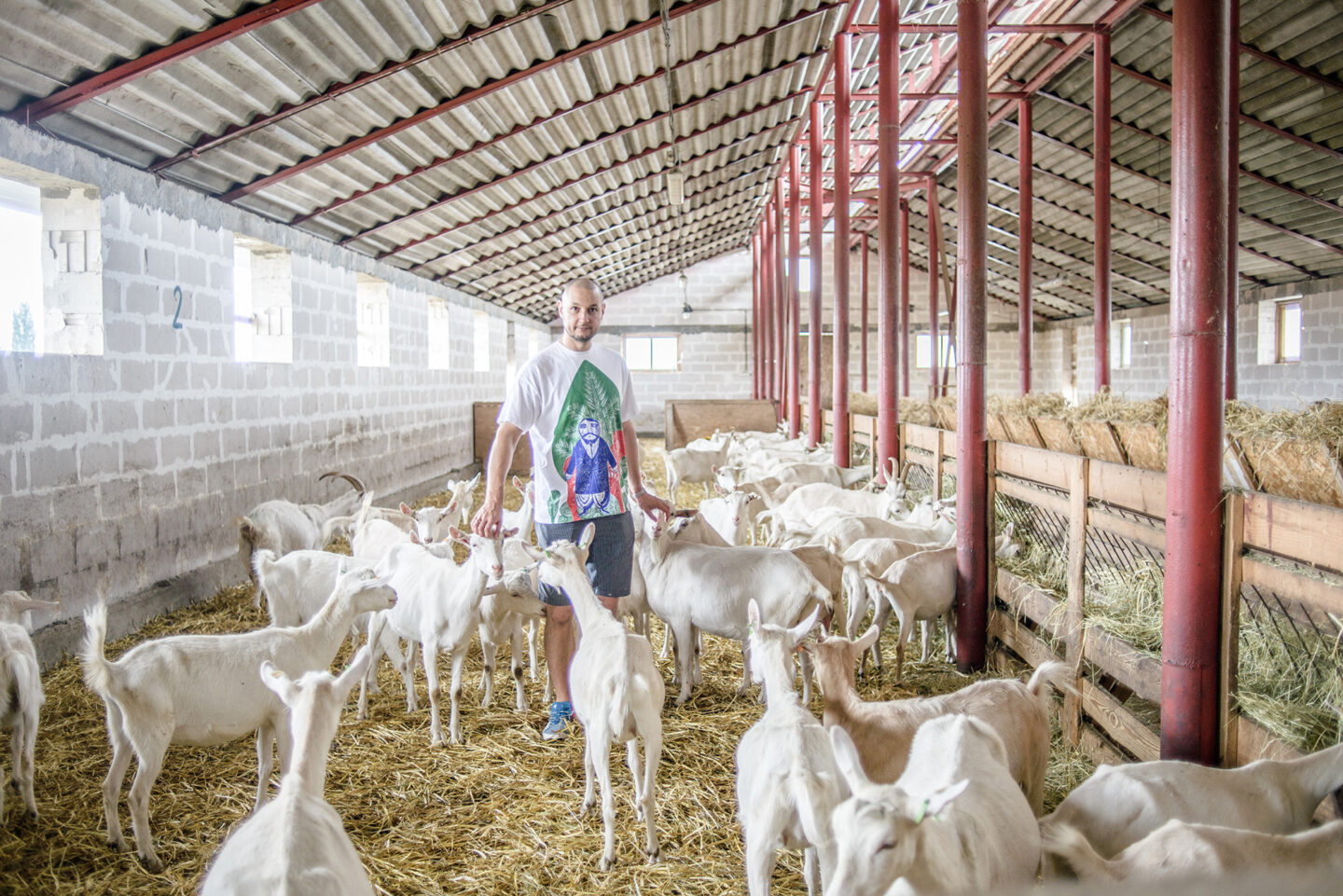 Доообра ферма