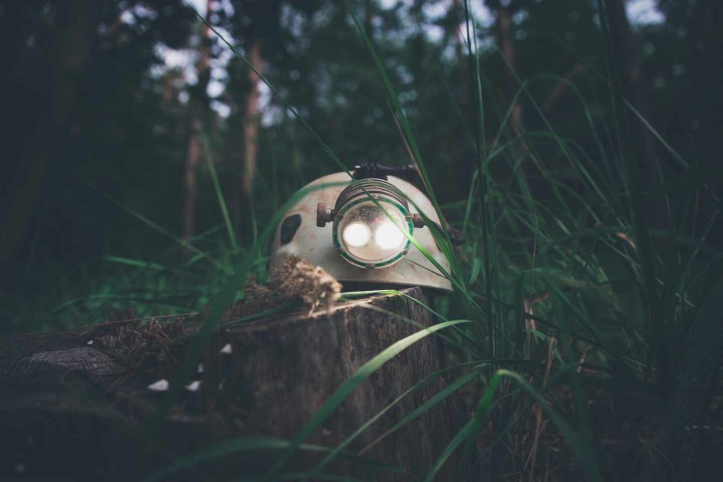 Нас усіх має туди тягнути