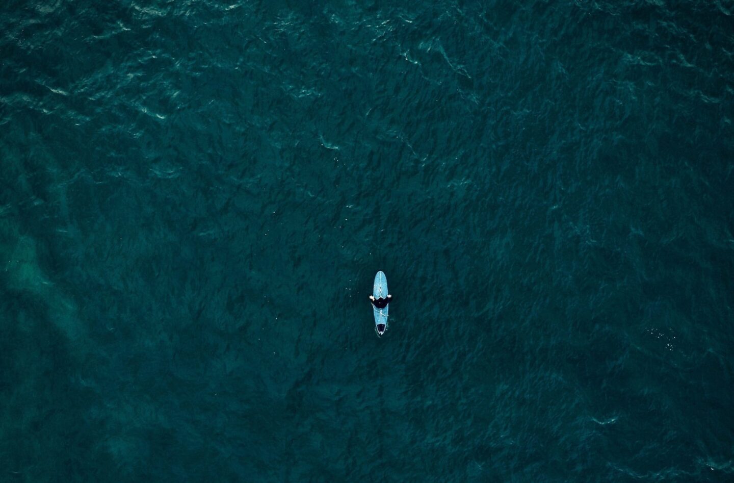 На гребені хвилі: 12 уроків для CEO