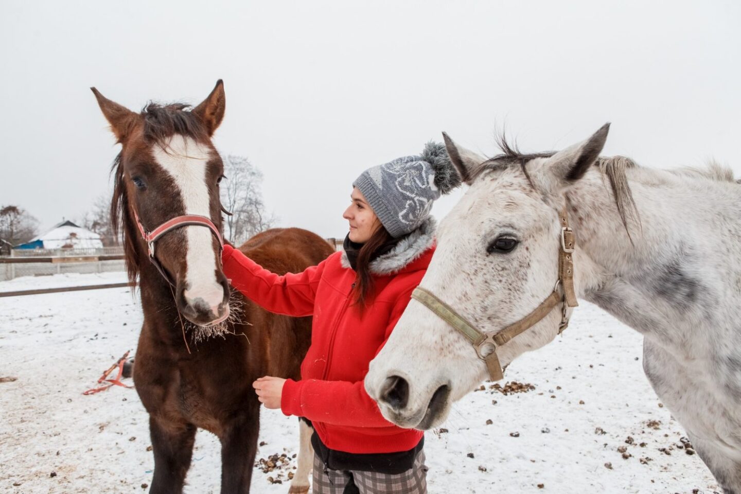 Дім для Міли