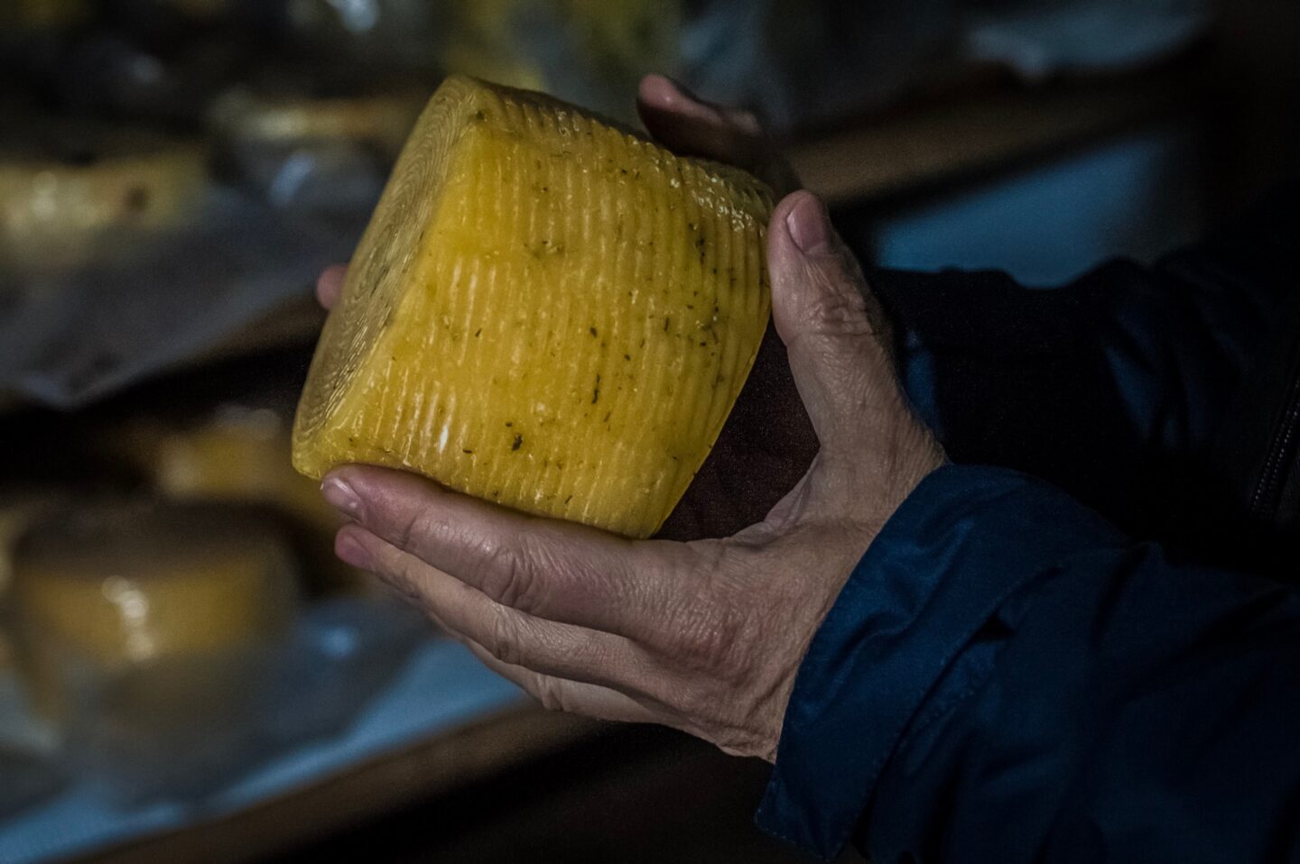 Мрія, захована у сирі