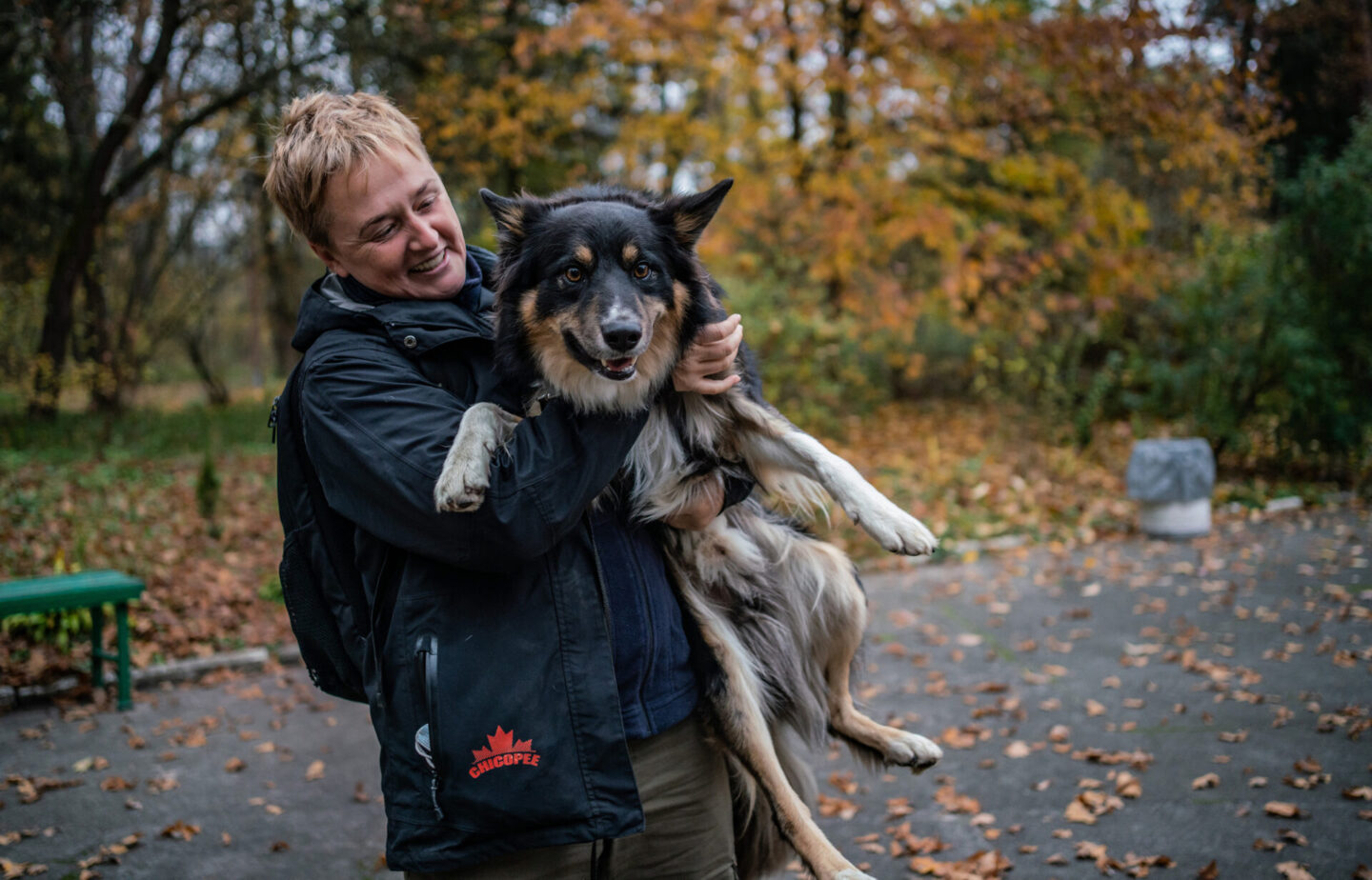 Коли собака ― психологічний поводир