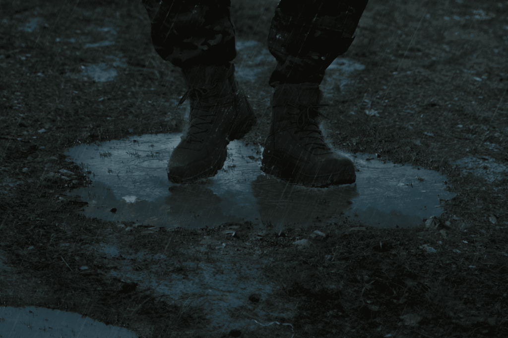 This Is Not a Crime Novel