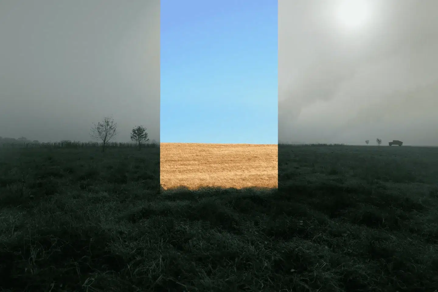 What Would Be the Victory in This War?