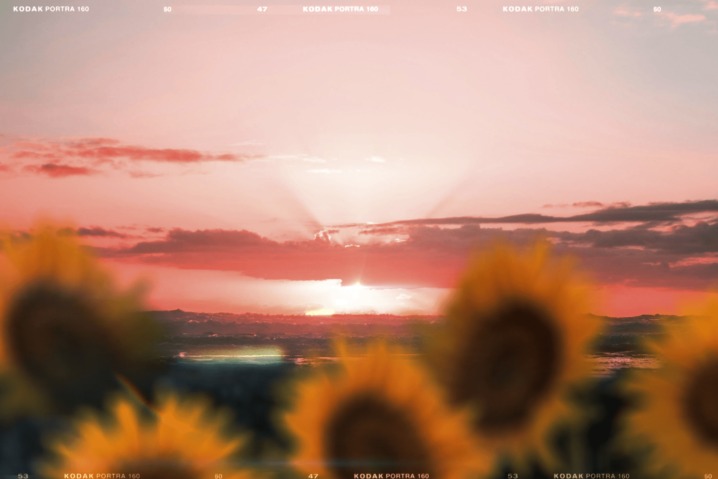 Друже, як ти?