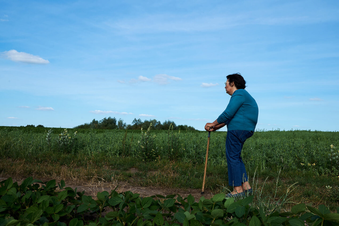 Хай тут буде спориш