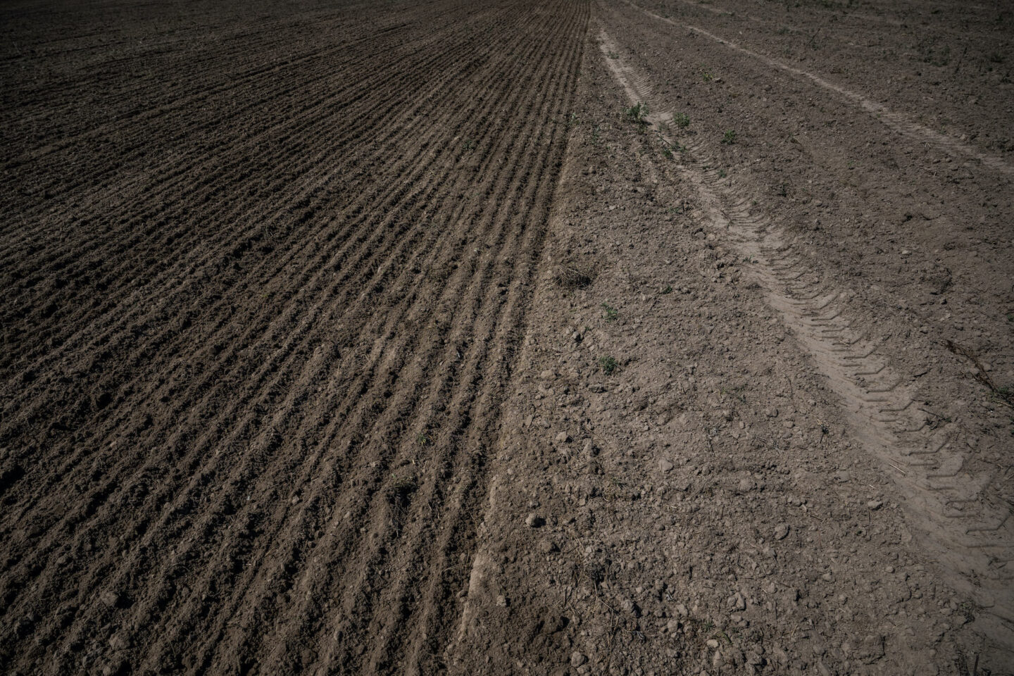 Земля на кордоні, любов на землі
