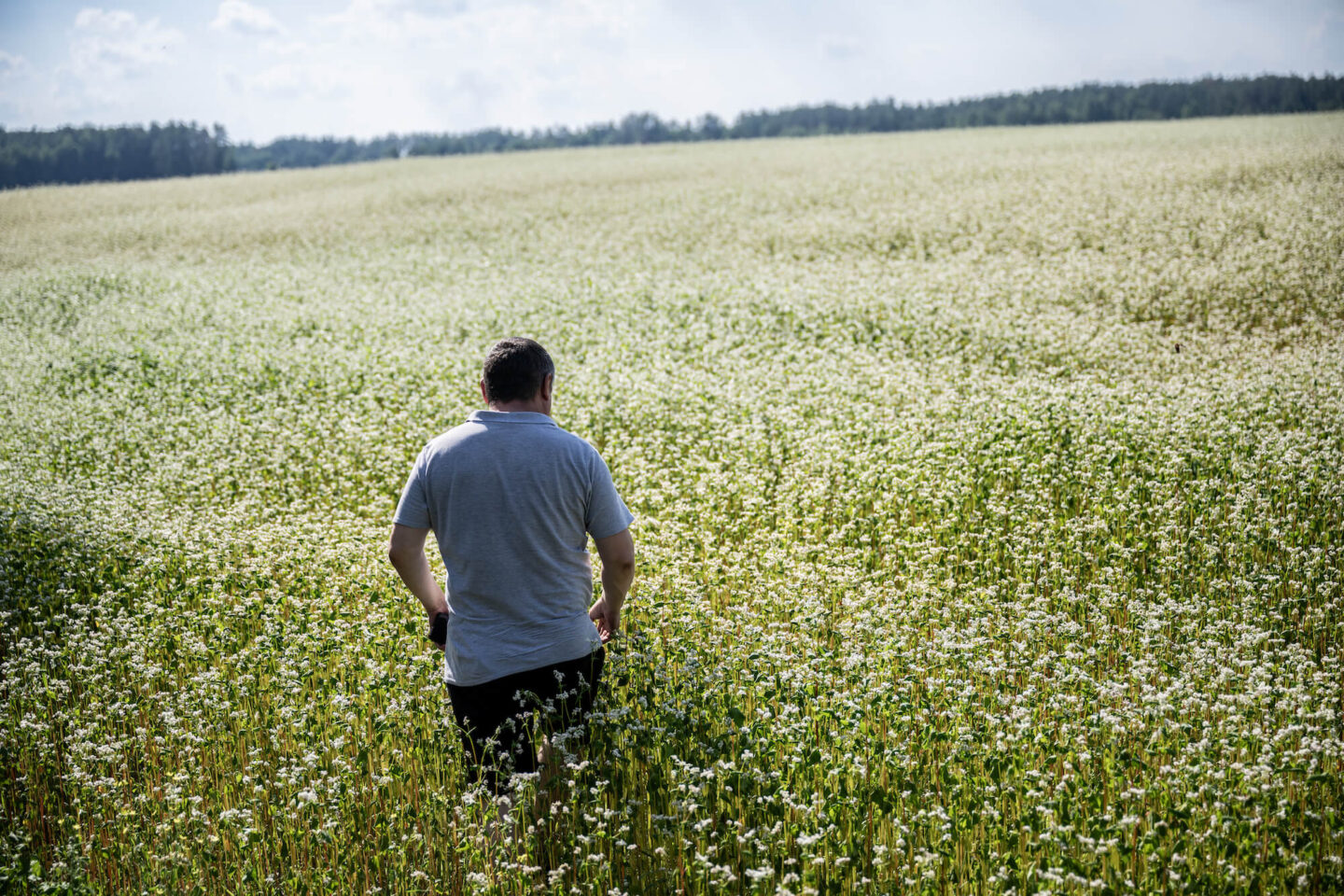 Тут живуть, тут не живуть, тут воюють, тут сіють