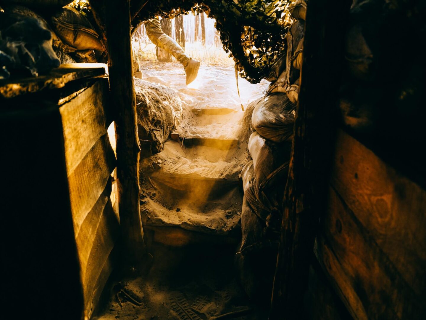 Ерос, Танатос і зорі