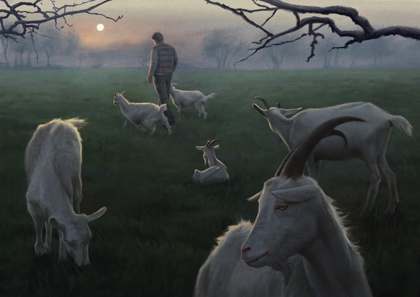 Чоловік по землі ходити не міг