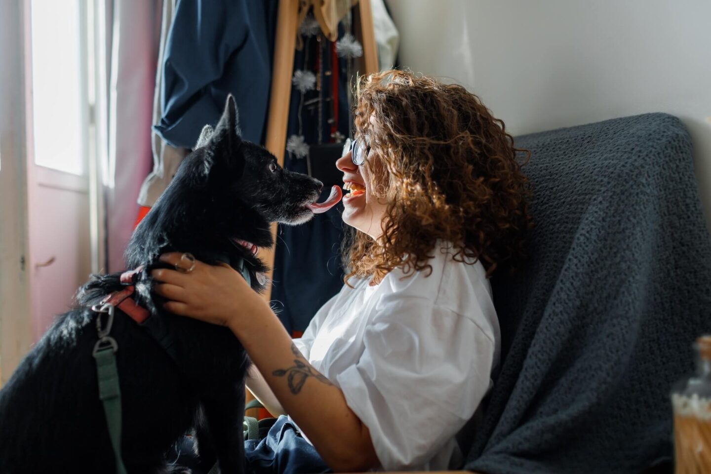 Мій пес на антидепресантах