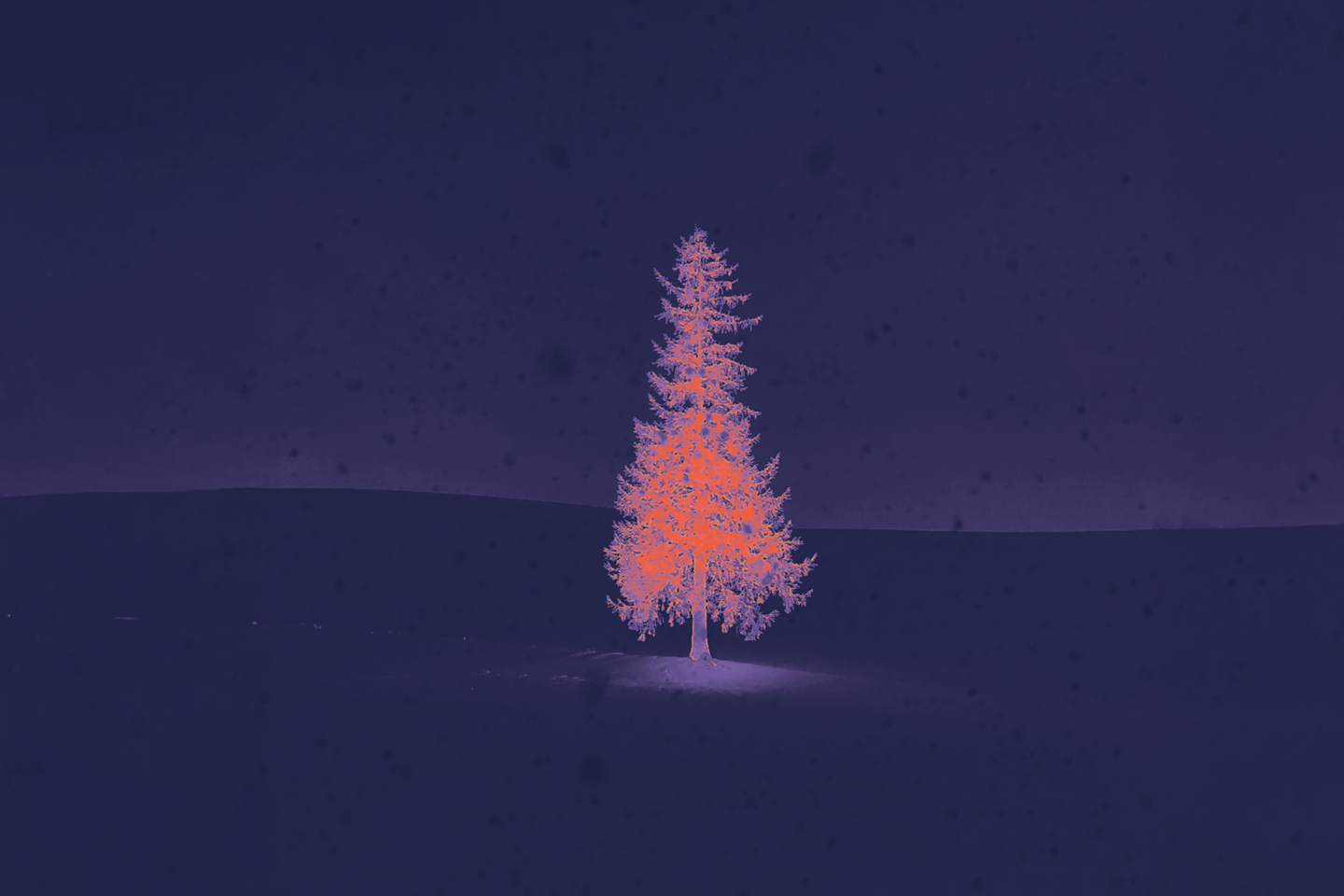 Дожити до Різдва