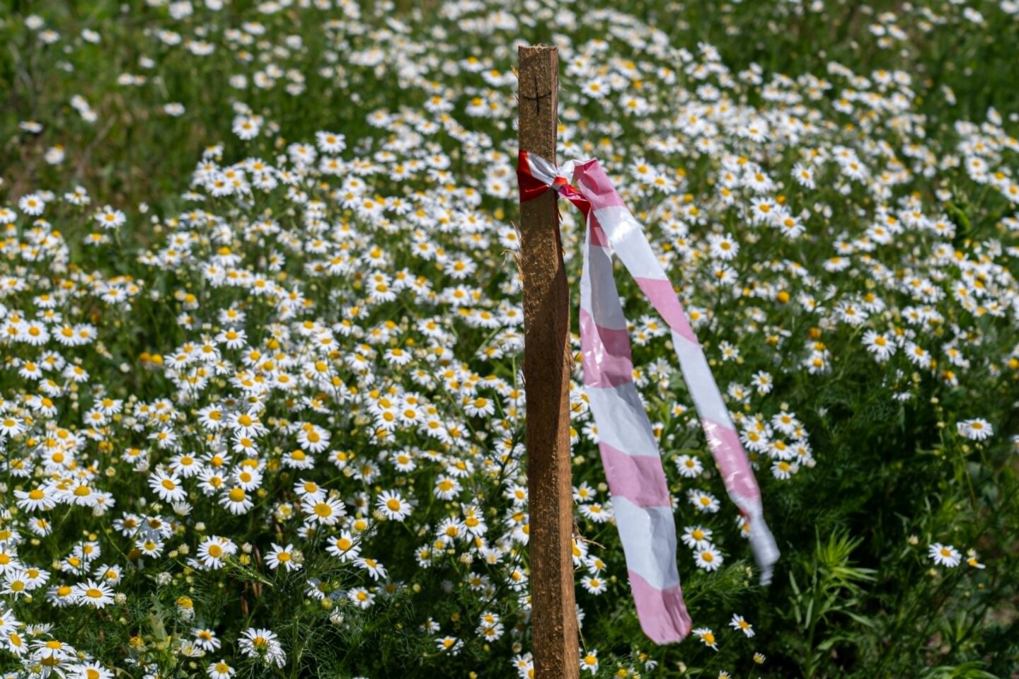 Найбільш замінована країна світу￼