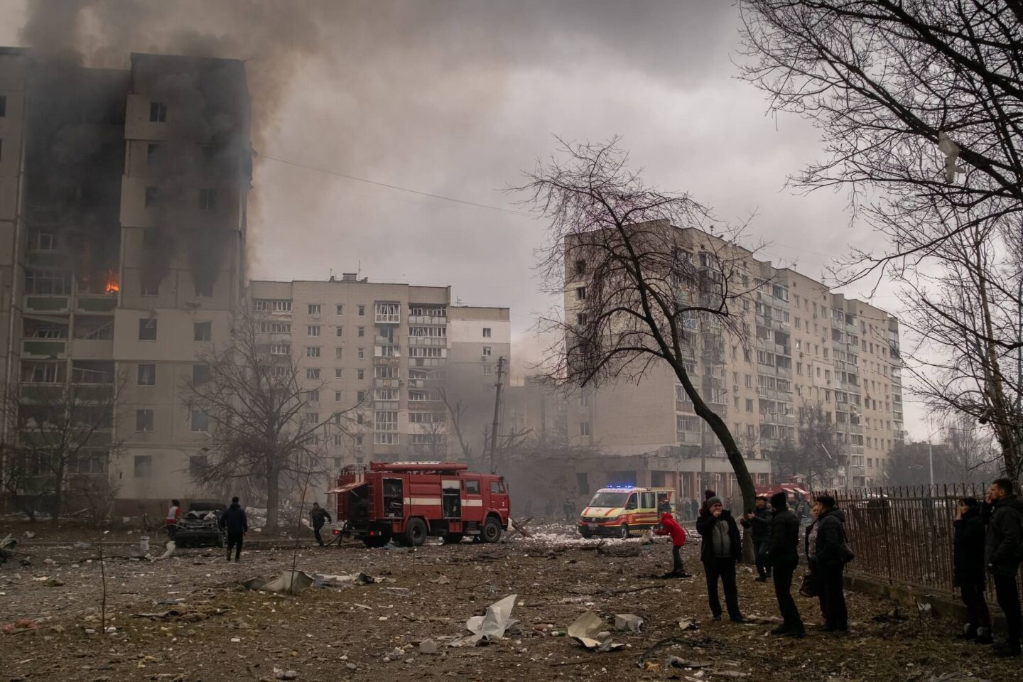 Дім і його Олена