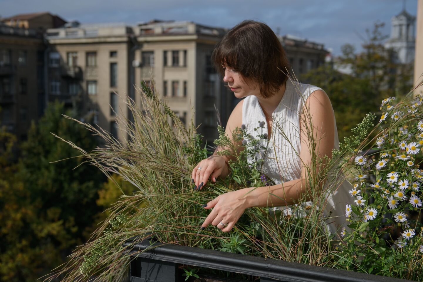 Донецький степ на київському балконі