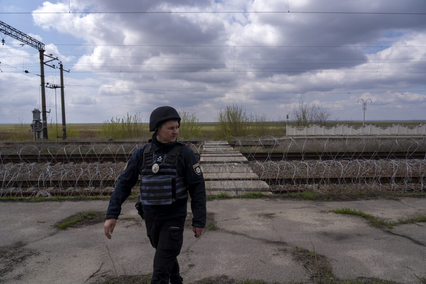 Шериф із вербового лісу