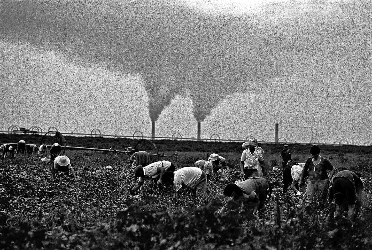 Серце цієї землі качає метал і б’ється