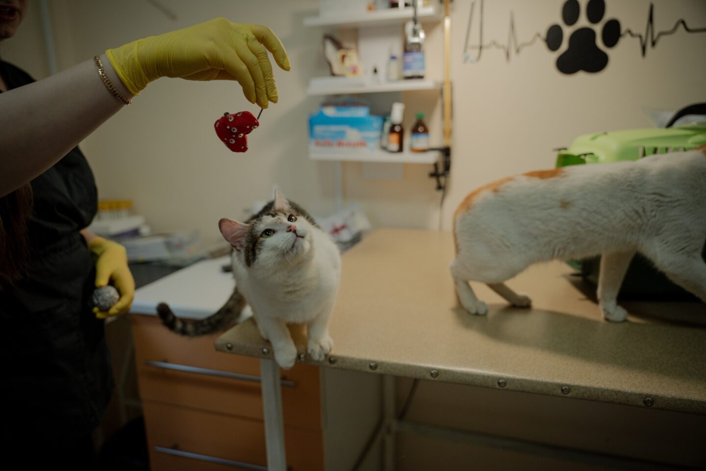 Знайти собі людину